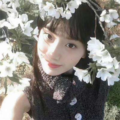 和平使者第二季