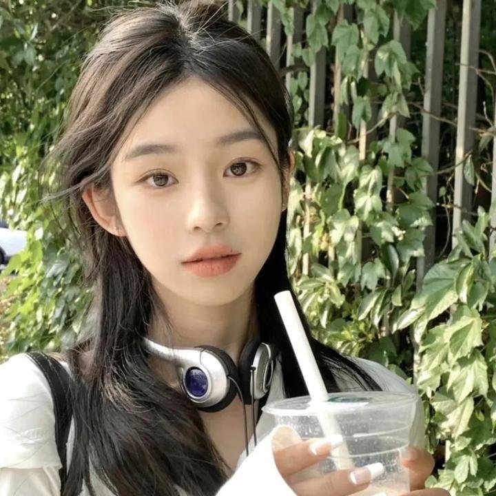 夏日菊花茶
